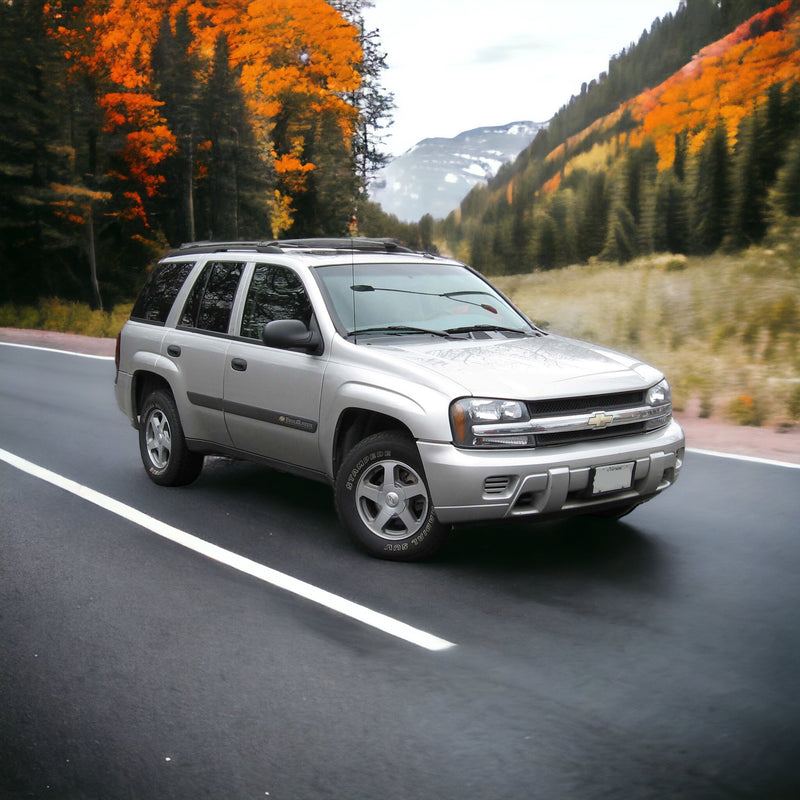 Autowins maßgeschneiderte Fußmatten für Chevrolet TrailBlazer KC (2002–2009)
